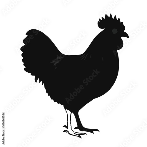 Wyandotte Chicken