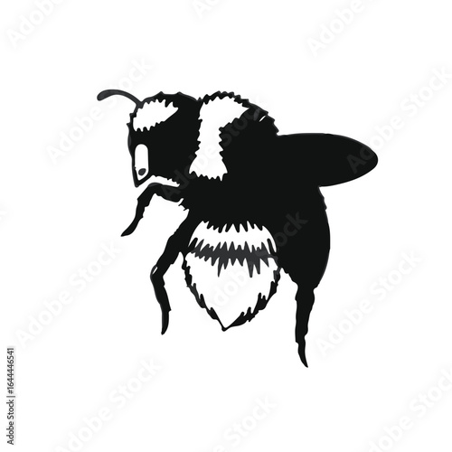 Wool Carder Bee