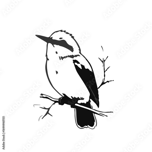 Willow Flycatcher Black