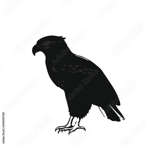 White-Tailed Eagle Emblem