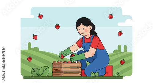 Woman harvesting fresh strawberries on a farm with focus and carefulness for quality control and sustainable agriculture