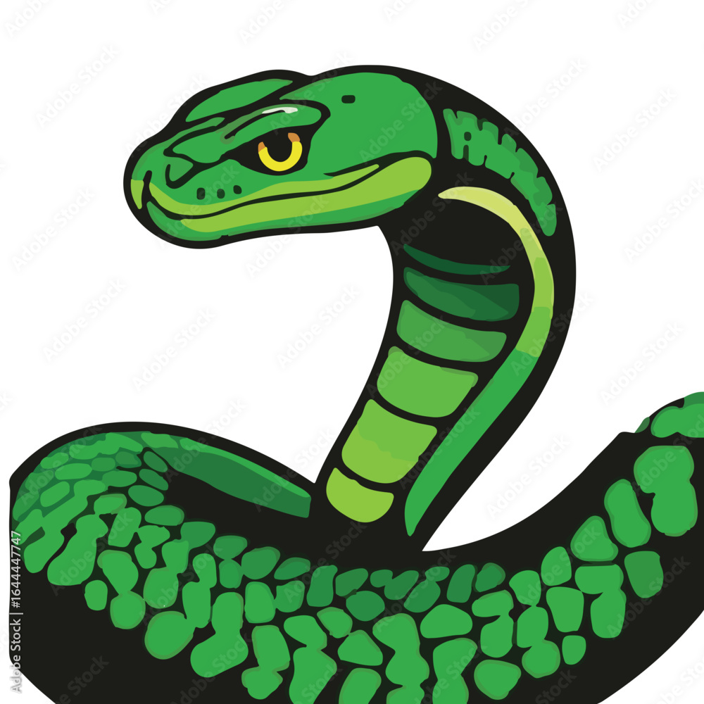 Fototapeta premium Western Green Mamba