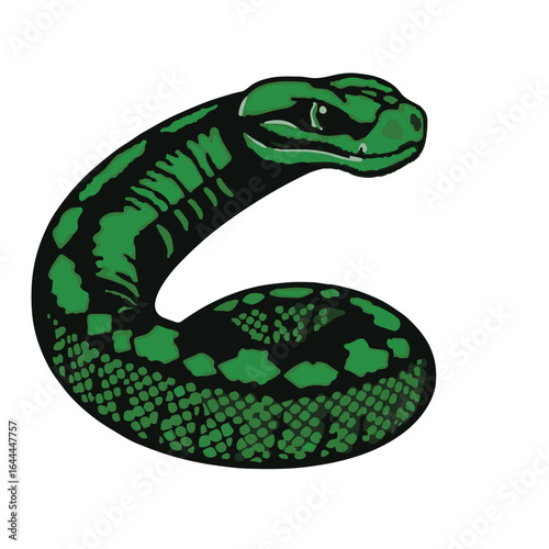 Western Green Mamba