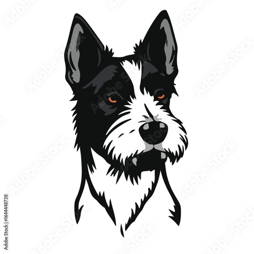 Black Wire Fox Terrier
