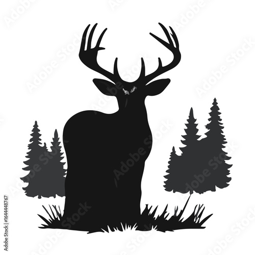 Whitetail Deer