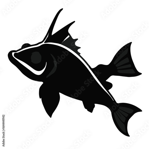 Walking Catfish