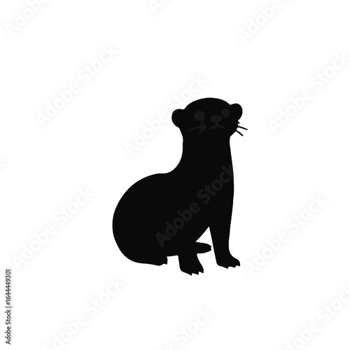 Black and White Weasel