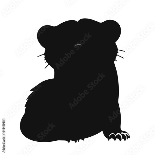 Black & White Weasel