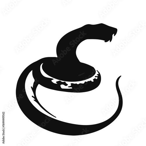 Black Viper-Boa