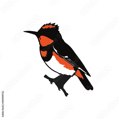 Vermilion Flycatcher Illustration