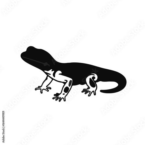 Virgin Islands Gecko