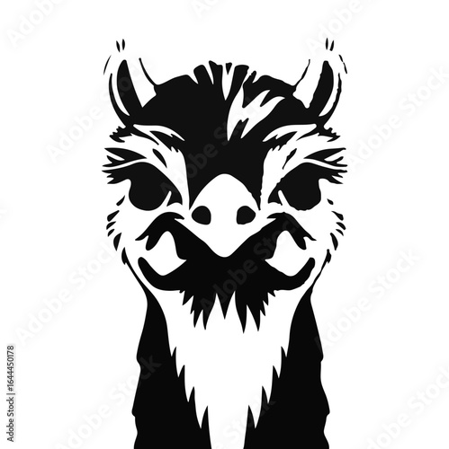 Black and White Vicuña