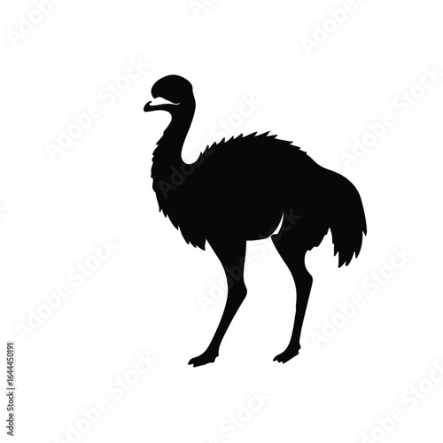 Monochrome Vicuña