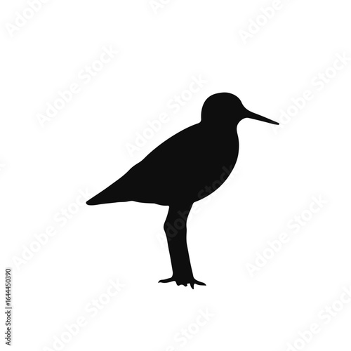 Upland Sandpiper - Black