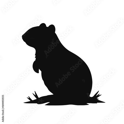 Uinta Ground Squirrel
