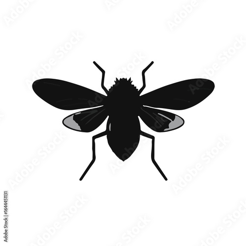 Black Tsetse Fly