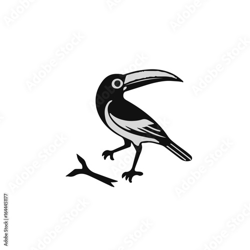 Black Tropicbird Animal