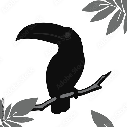 Toucan Animal Set