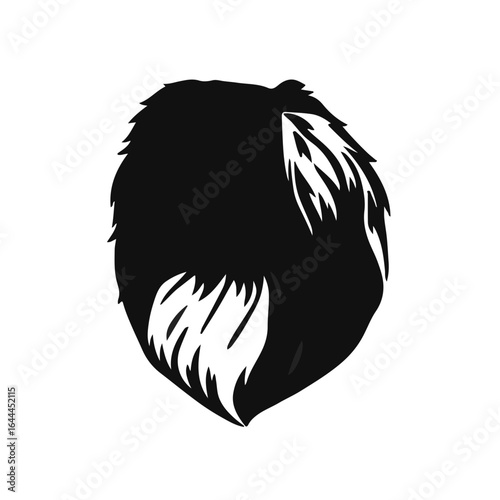 Black Tibetan Spaniel