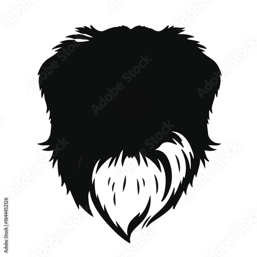 Black Tibetan Spaniel