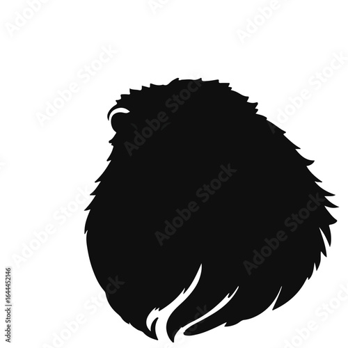 Black Tibetan Mastiff