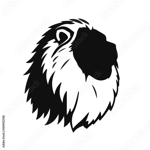 Black Tibetan Mastiff