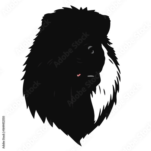 Black Tibetan Mastiff