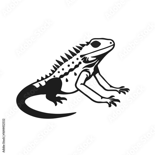Texas Spiny Lizard
