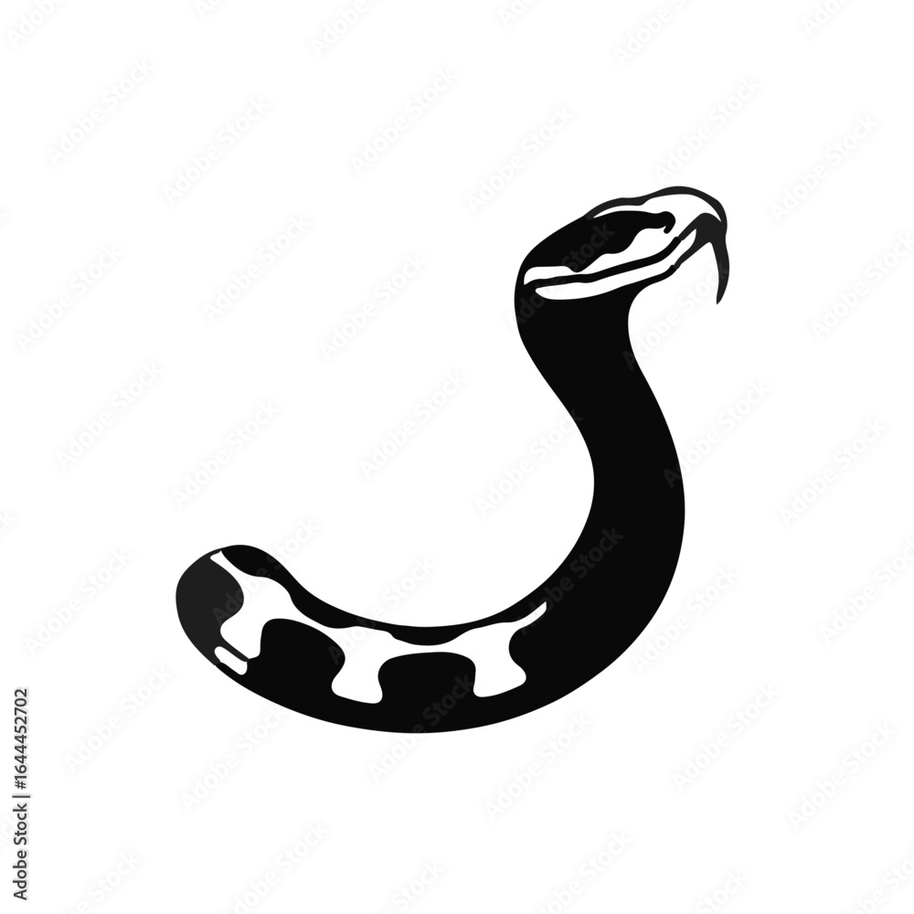 Fototapeta premium Black Coral Snake