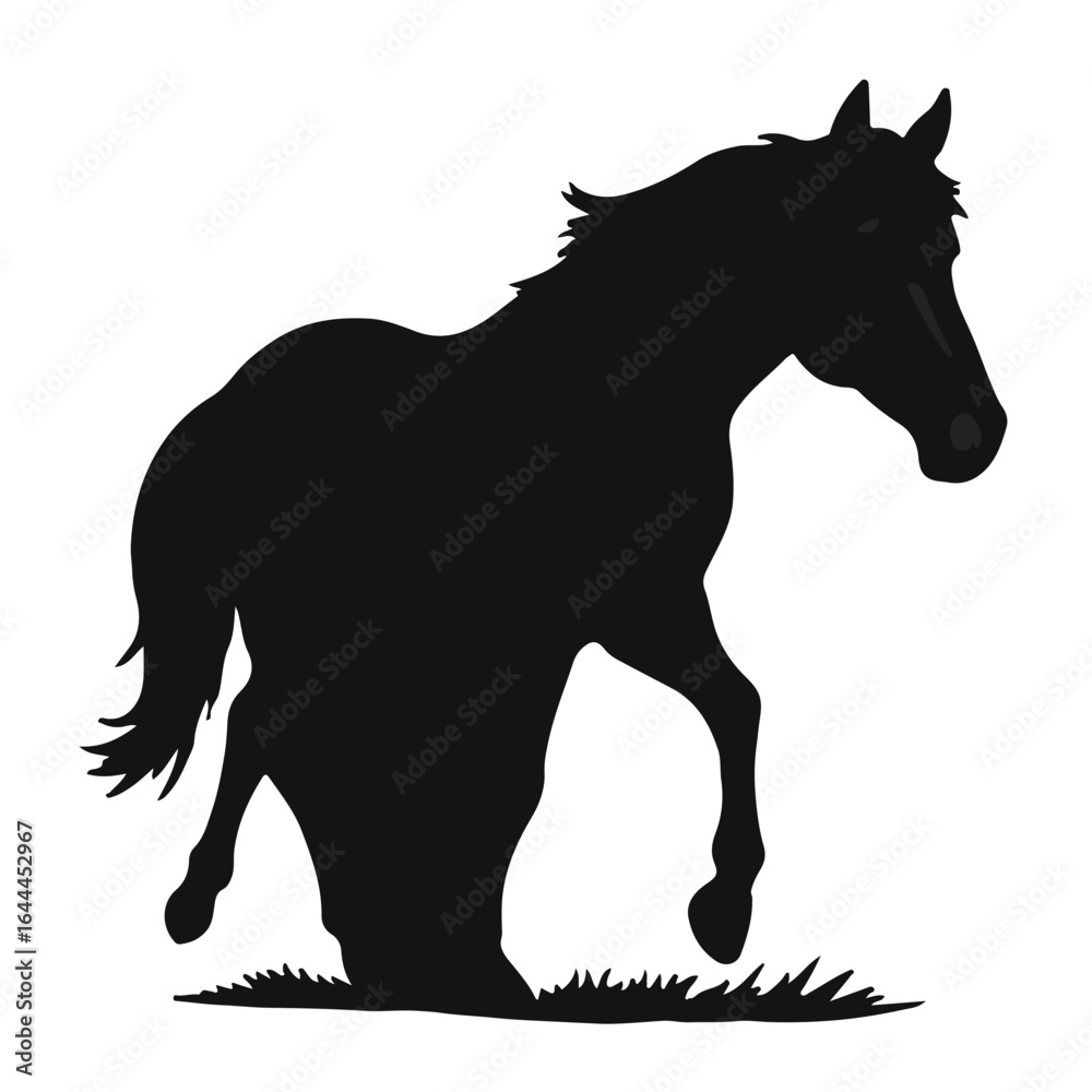 Fototapeta premium Walking Tennessee Horse