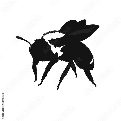 Black Tawny Mining Bee