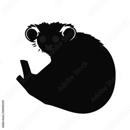 Black Tarsier Portrait