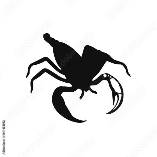 Tailless Whip Scorpion