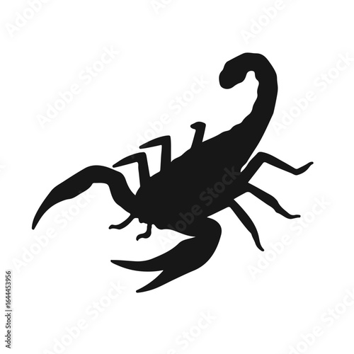 Tailless Whip Scorpion Illustration