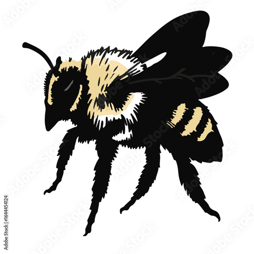 Tawny Mining Bee