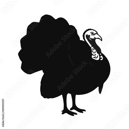 Black Turkey Animal