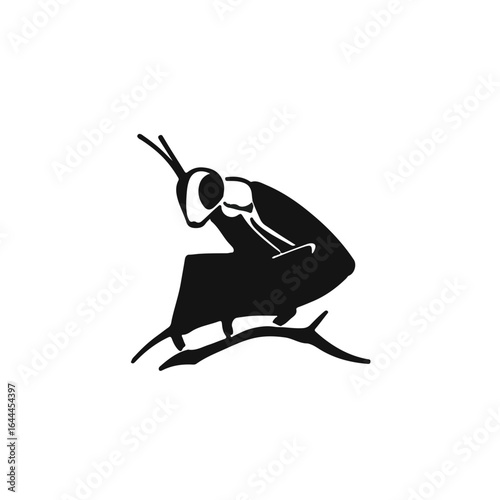 Black Treehopper