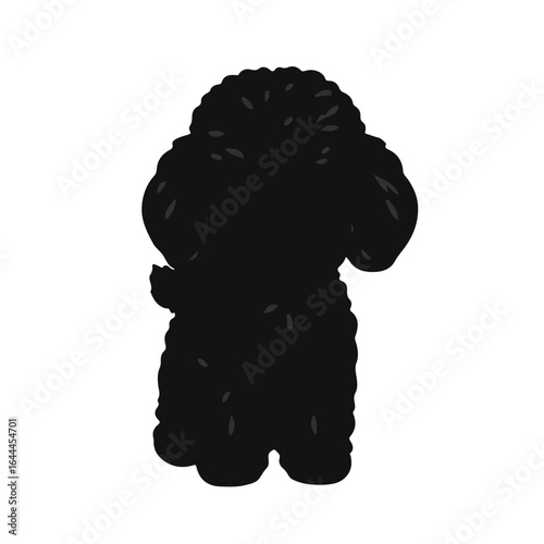 Black Toy Poodle