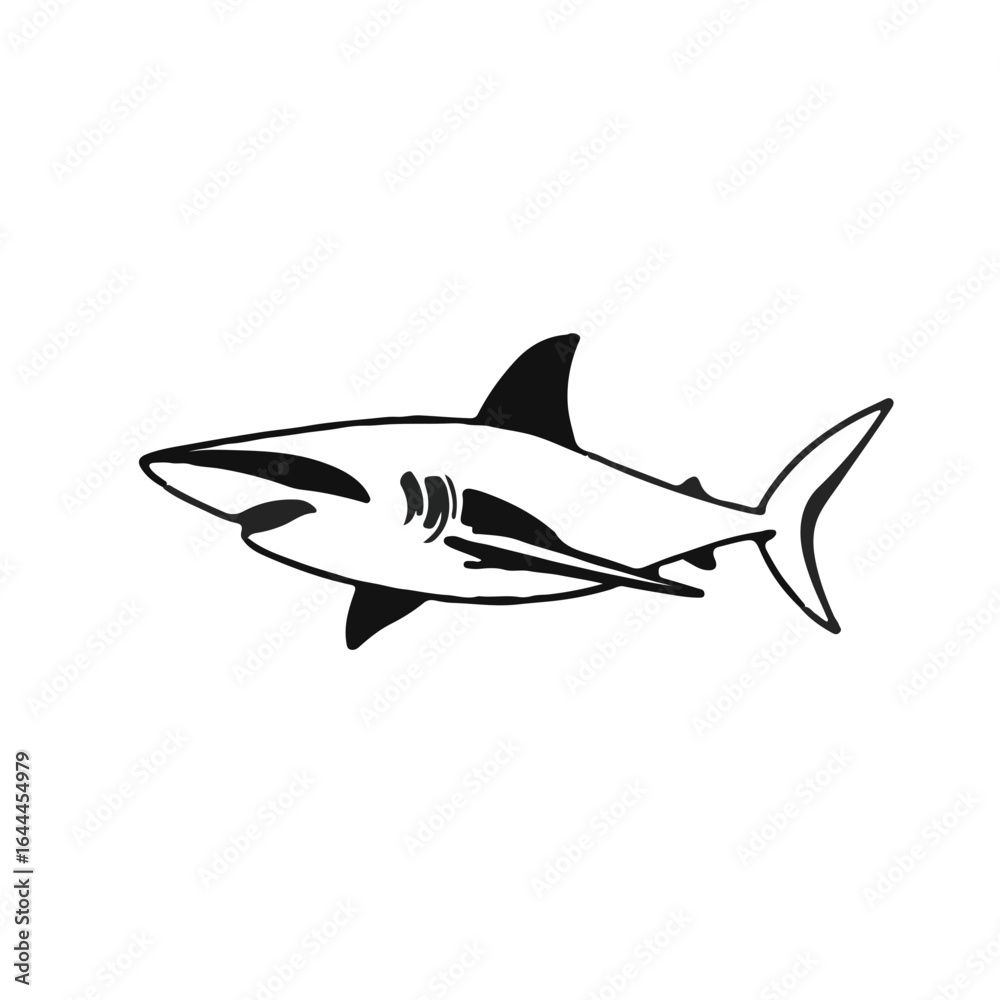 Obraz premium Black Thresher Shark