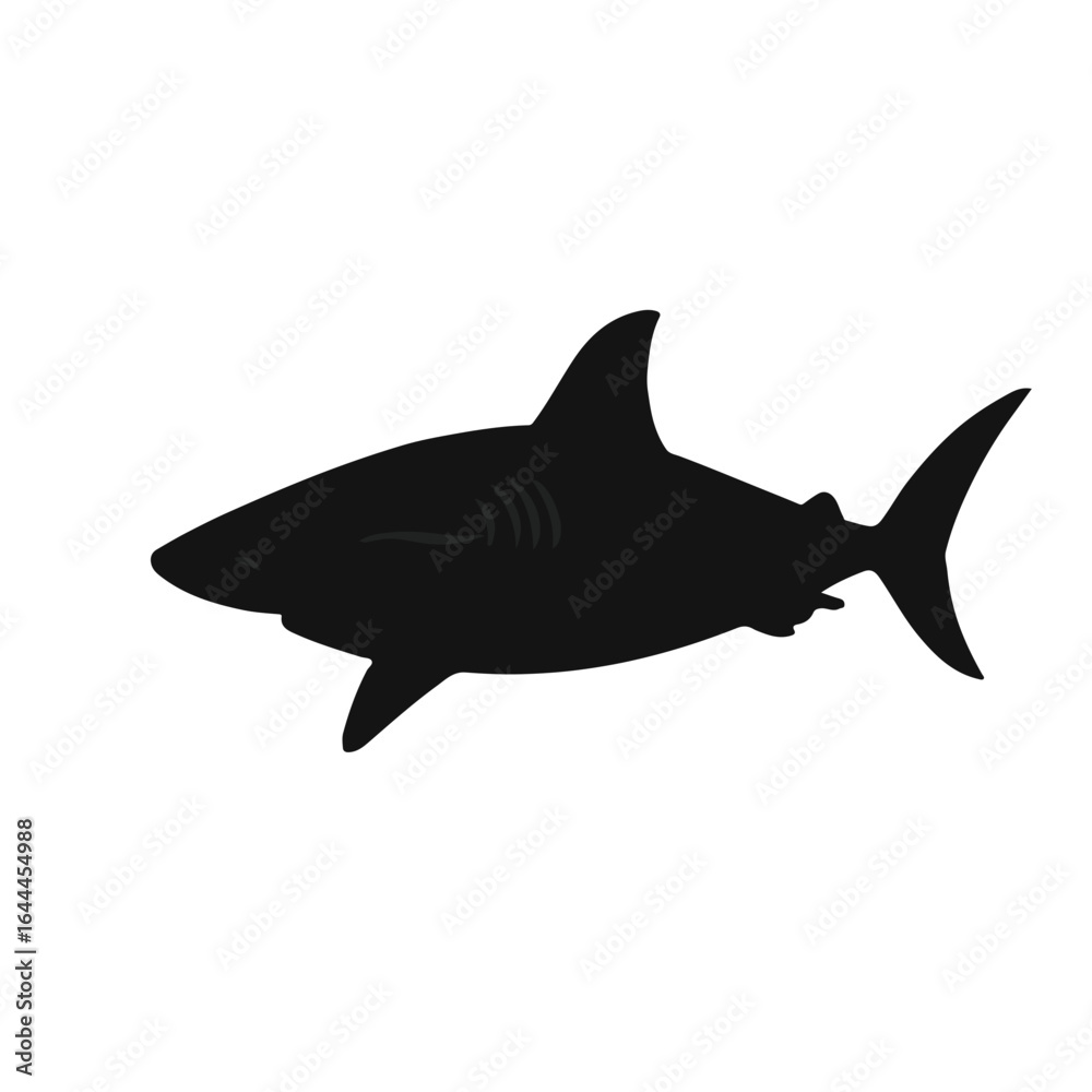 Obraz premium Black Thresher Shark