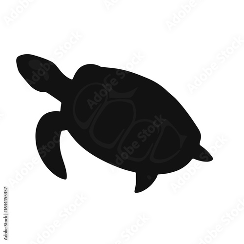 Black Turtle Animal Illustration