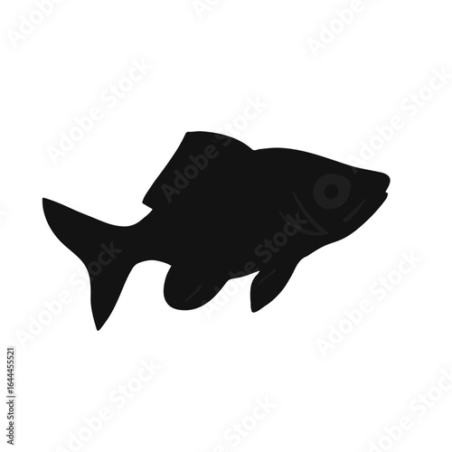 Black Tetra Animal