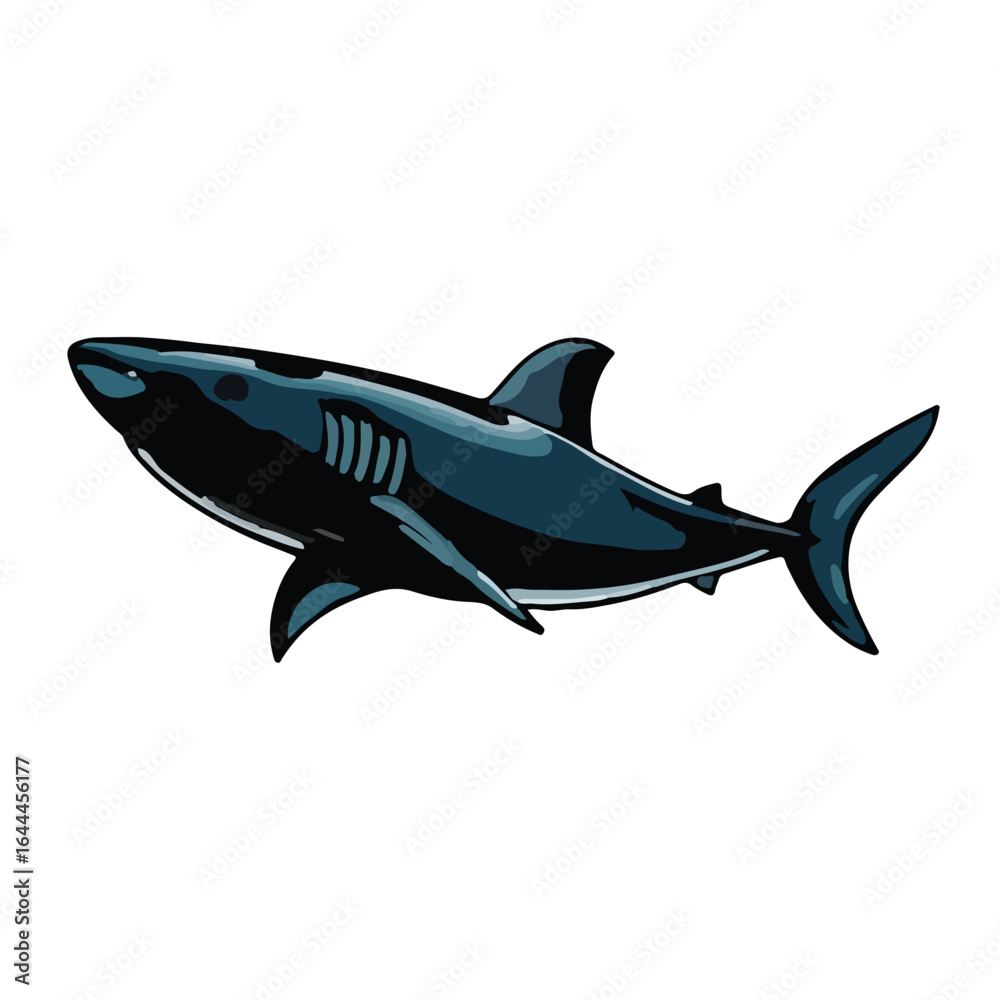 Fototapeta premium Bronze Whaler Shark Image
