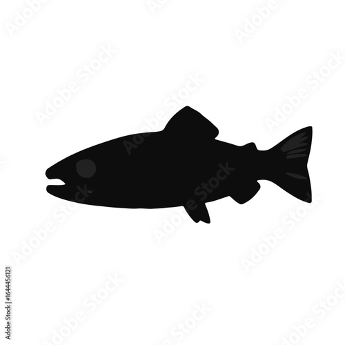 Brook Trout Illustration