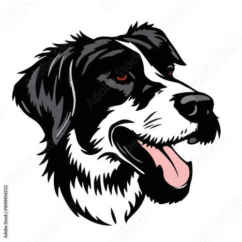 Bracco Italiano Dog