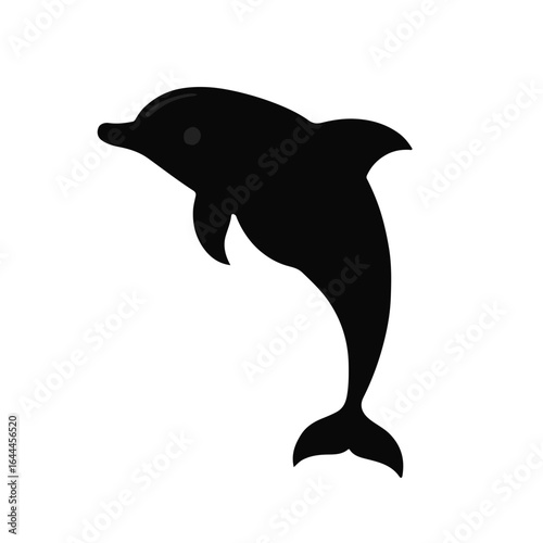 Bottlenose Dolphin Illustration