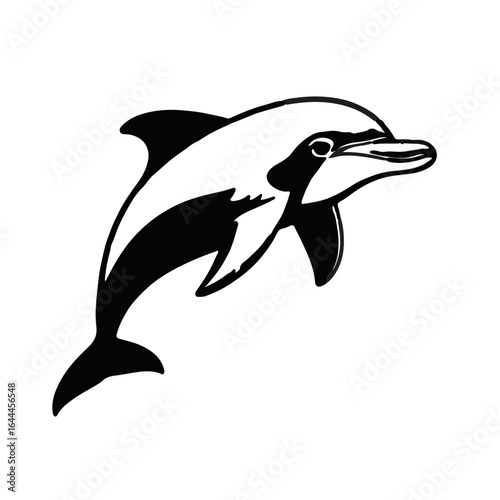 Bottlenose Dolphin Illustration