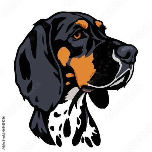 Bluetick Coonhound Portrait