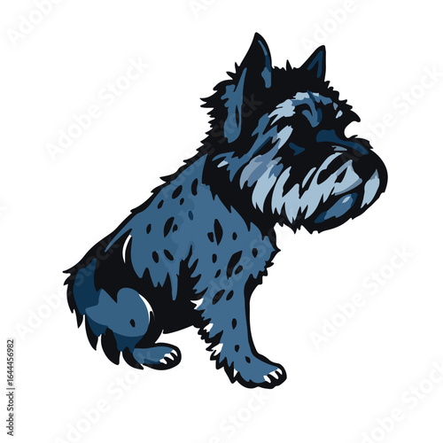 Blue Lacy Dog