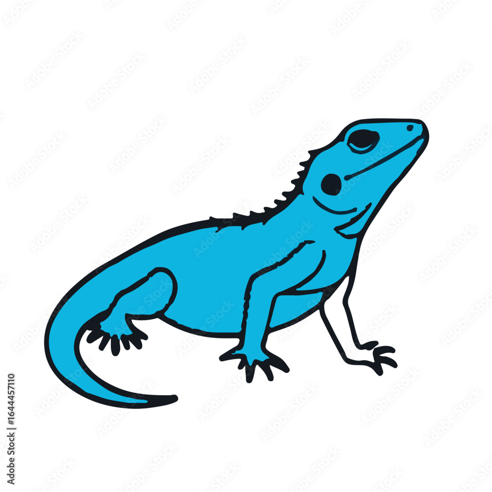 Fototapeta premium Blue-Belly Lizard Illustration